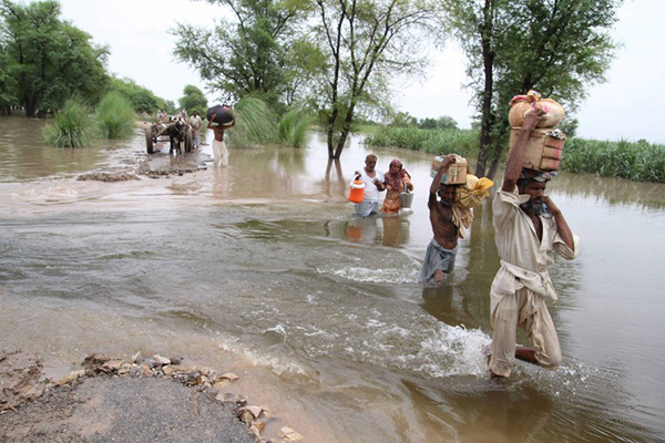 Evacuating Sadat Wala near Multan, Aug. 16. S. S. Mirza—AFP