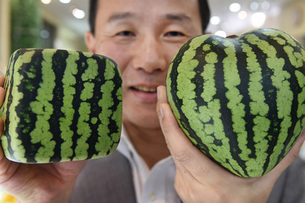 Mototaka Nishimura of the Shibuya Nishimura luxury fruit shop, Tokyo, July 1. Toru Yamanaka—AFP
